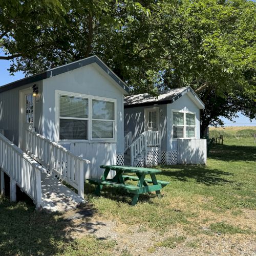 A small, light blue house with a porch and steps, next to a green picnic table, surrounded by trees and grass under a clear sky.