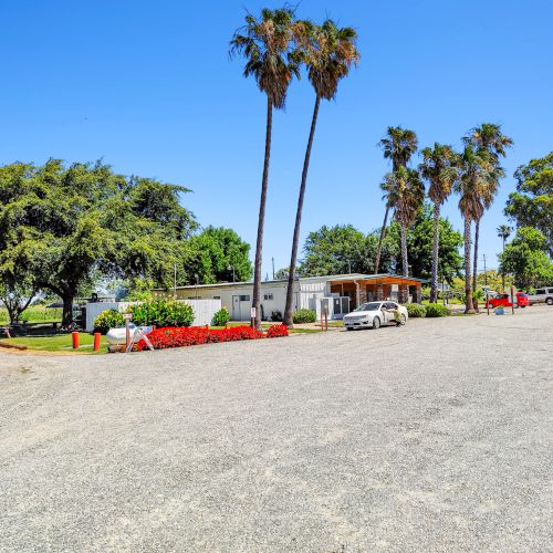 A gravel lot with a white building, several palm trees, and a landscaped area with red flowers under a clear blue sky.